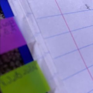 Meet your Posher, Sammy